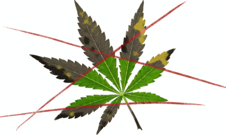 H. Hopp-Bruce/Globe Staff; johny87/Adobe